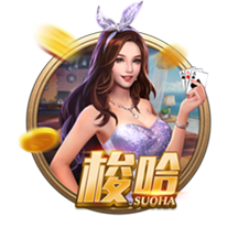成人播放器桌面版客户端