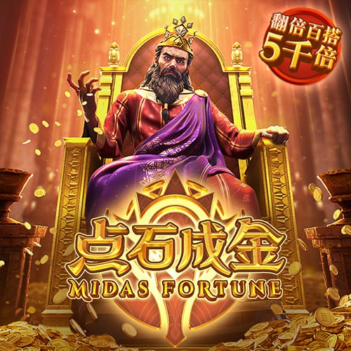 成人播放器桌面版客户端