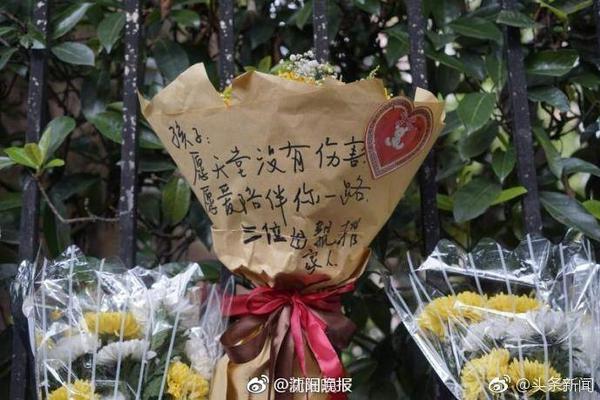 布朗尼必须成为轮换球员？韦德：不要给他施加这种压力 他在进步