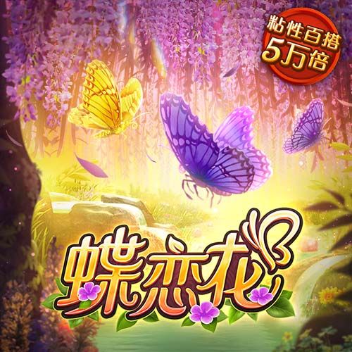 成人播放器电脑免费版
